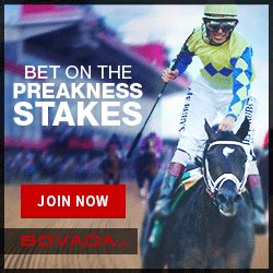 bovada horses|bovada horse racing and betting.